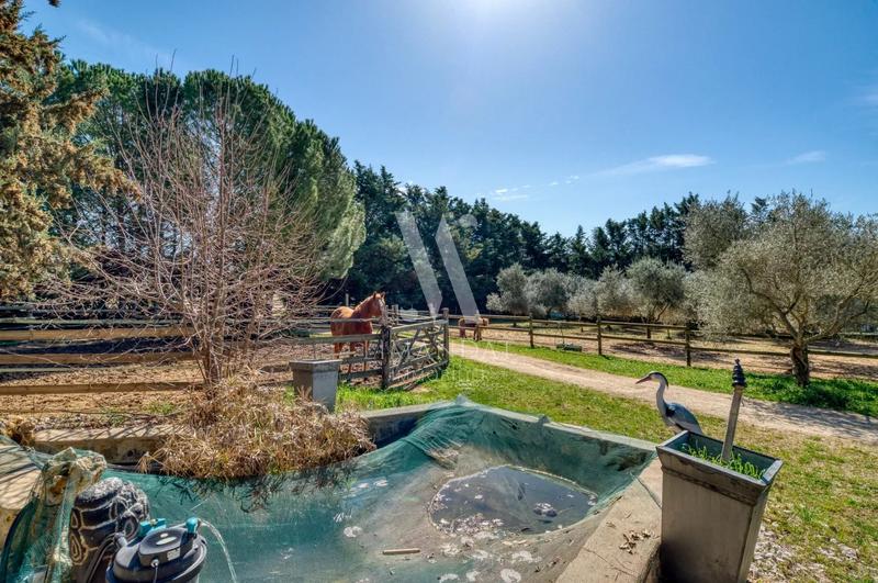 Maison de domaine équestre - 585 m² - 8 pièces