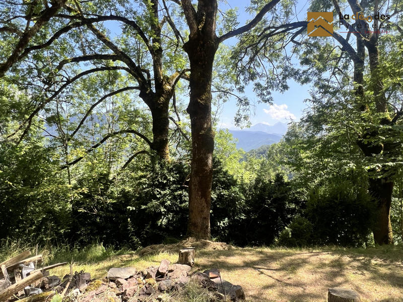 Maison ancienne - 75 m² - 3 pièces