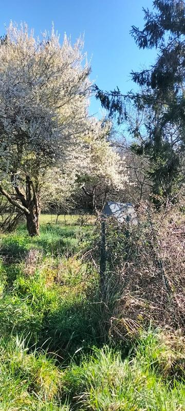 Maison - 150 m² - 1 pièce