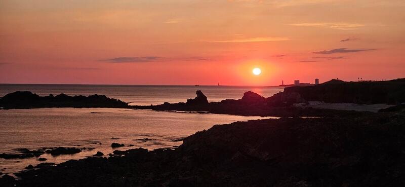 Appartement - 21 m² - 2 pièces