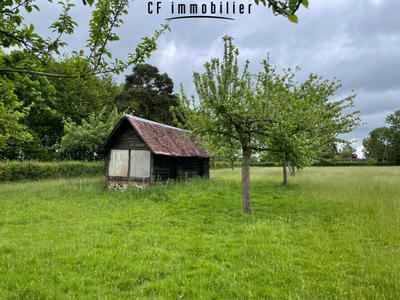 Maison - 28 m² - 2 pièces