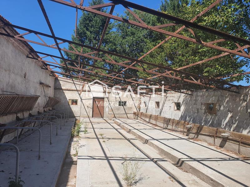 Ferme - 67 m² - 4 pièces