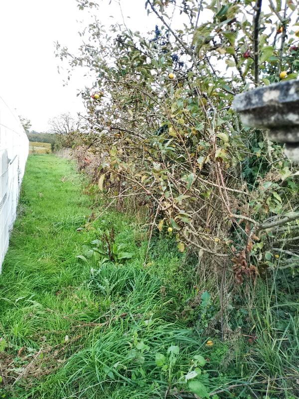 Maison - 140 m² - 1 pièce