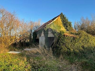 Cave / Box - 230 m²