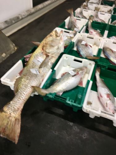 Aux Délices de la Mer