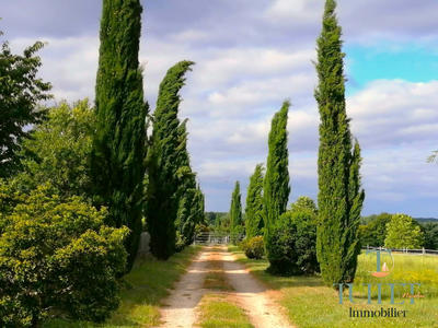 Maison - 274 m² - 9 pièces