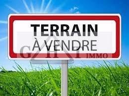 Terrain - 60 000 m²