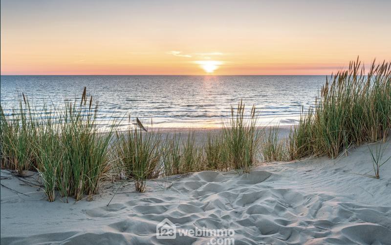 Appartement - 49 m² - 2 pièces