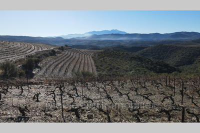 Terrain agricole - 11 020 m²