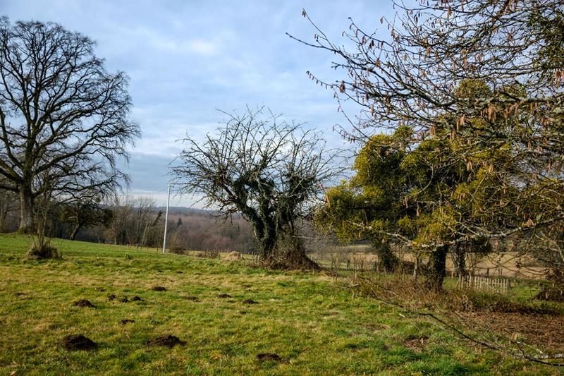 Terrain constructible - 2 064 m²