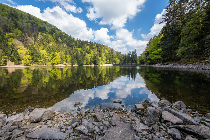 Regards sur le monde : conférence-cinématographique