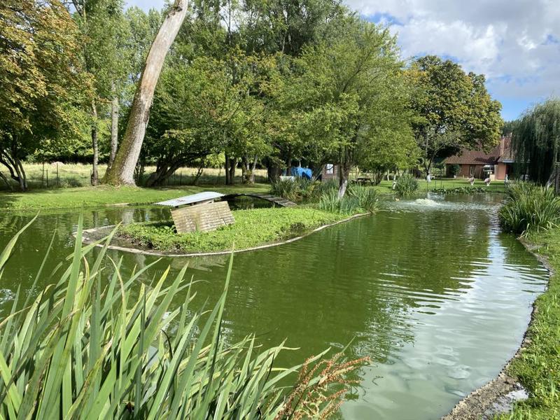 Maison de campagne - 60 m² - 3 pièces