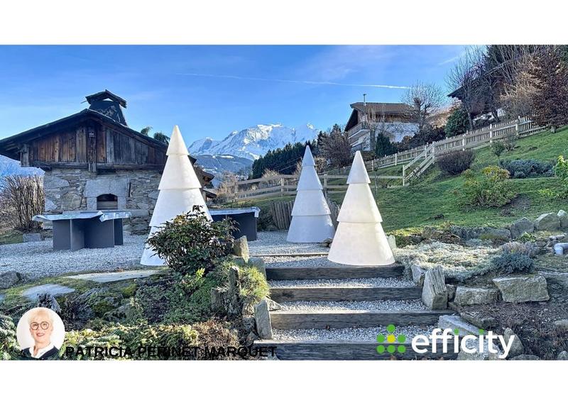 Châlet - 435 m² - 14 pièces