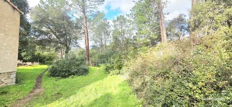 Maison de campagne - 55 m² - 3 pièces