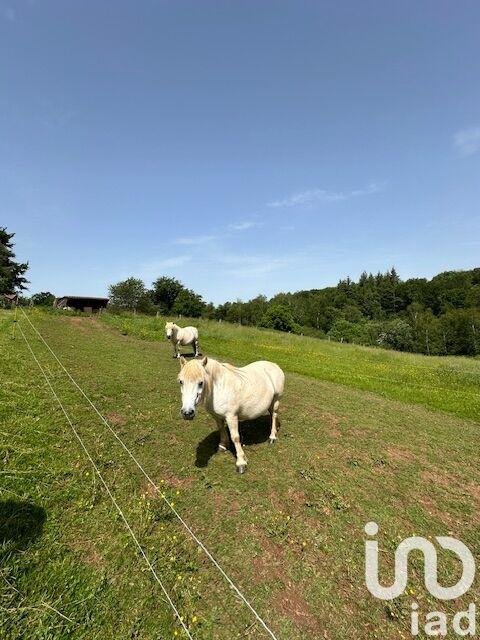 Maison - 433 m² - 16 pièces