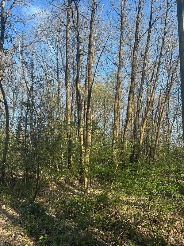 Terrain de loisirs - 16 366 m²