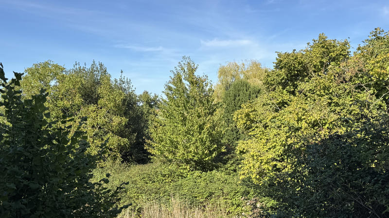 Maison - 100 m² - 1 pièce