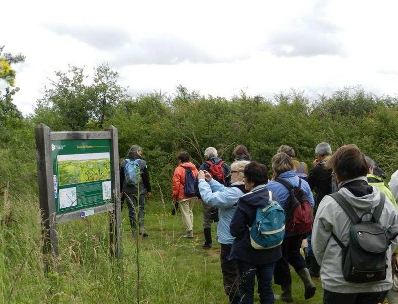 Découverte des Terres de Picadon