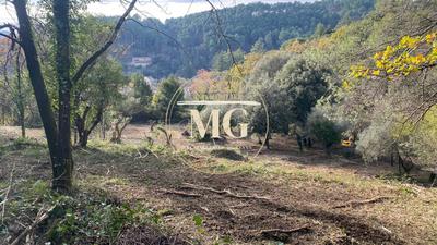 Terrain constructible - 4 905 m²