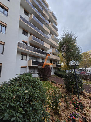 Appartement - 15 m² - 1 pièce