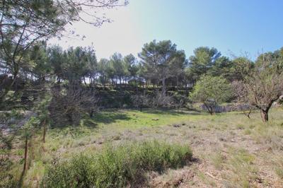 Maison - 134 m² - 5 pièces