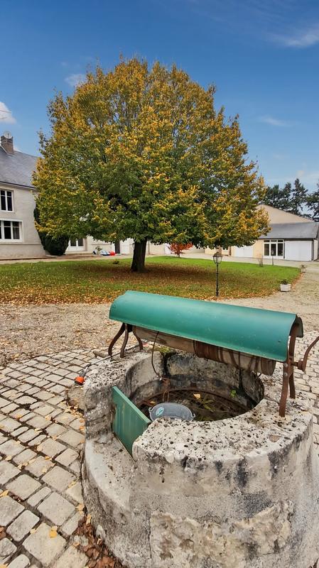 Maison - 223 m² - 9 pièces