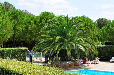 Appartement - 22 m² - 2 pièces