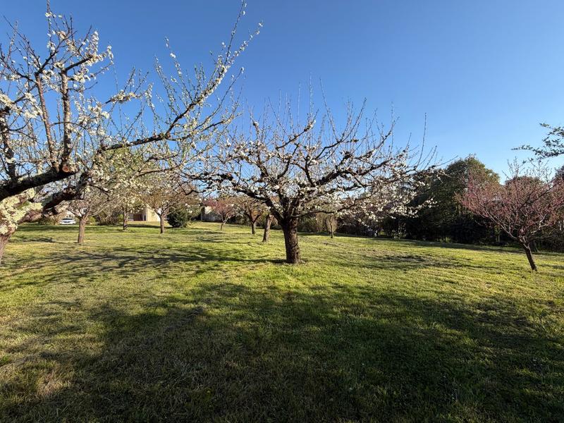 Maison - 74 m² - 3 pièces