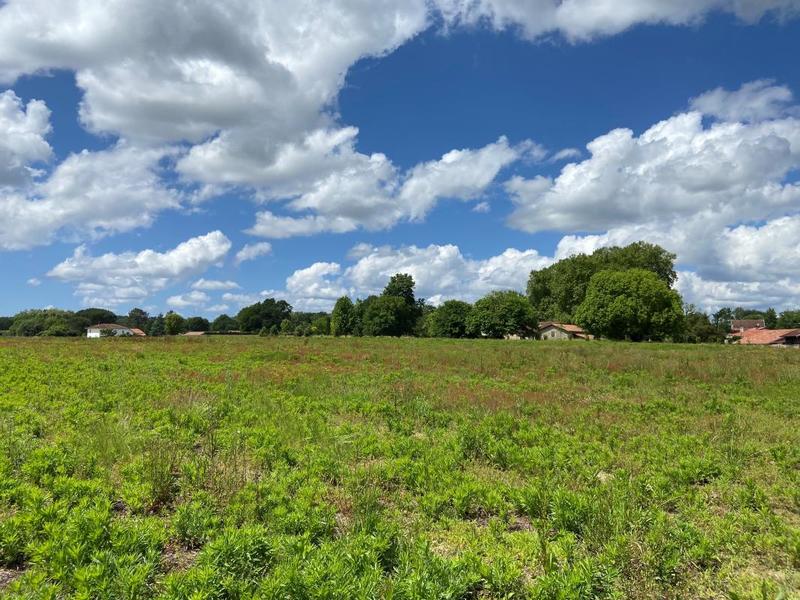 Terrain constructible - 748 m²