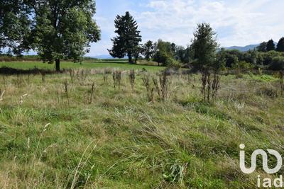 Terrain agricole - 10 042 m²