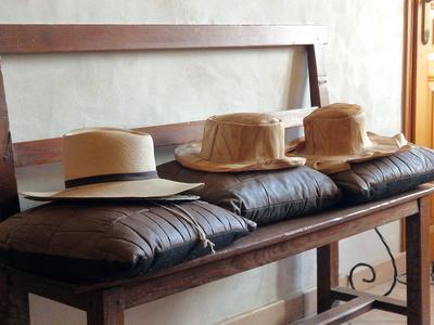 Maison - 311 m² - 14 pièces