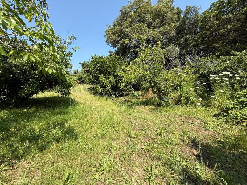 Villa - 165 m² - 5 pièces