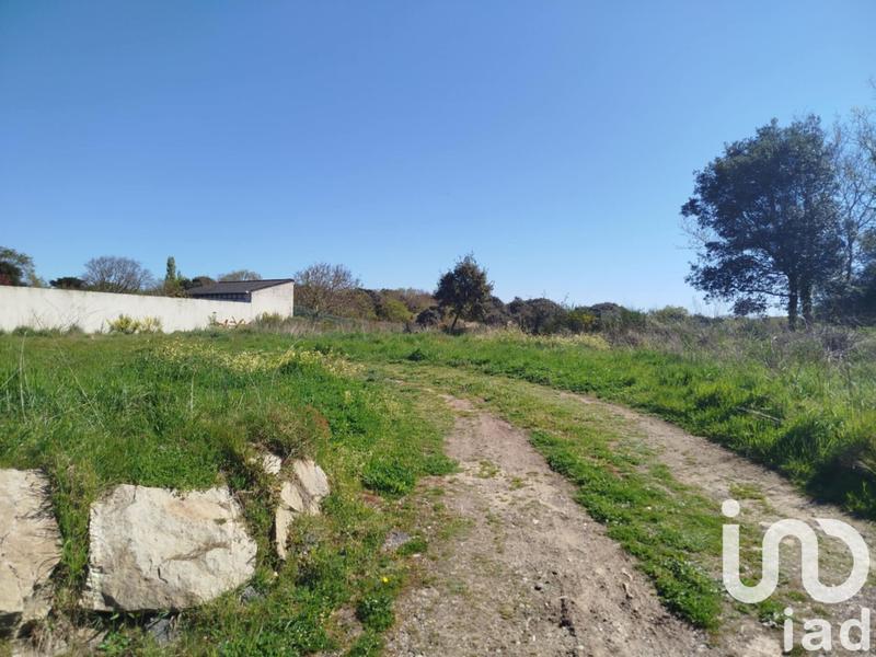 Terrain - 779 m²