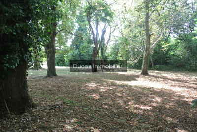 Maison - 360 m² - 8 pièces