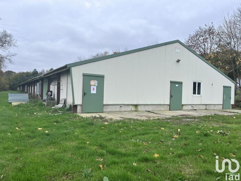 Local commercial - 1 200 m²
