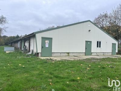 Local commercial - 1 200 m²
