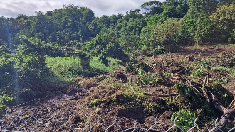 Terrain constructible - 647 m²