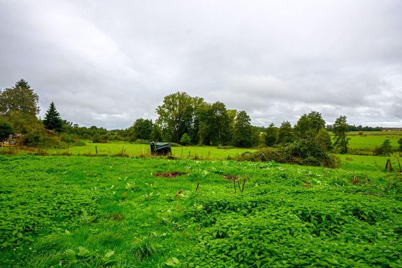 Maison - 210 m² - 6 pièces