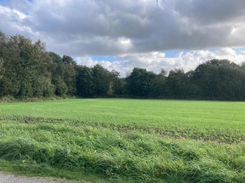 Terrain constructible - 978 m²