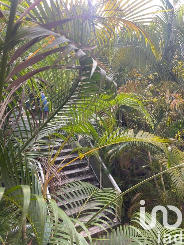 Appartement - 31 m² - 1 pièce