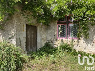 Château - 480 m² - 12 pièces