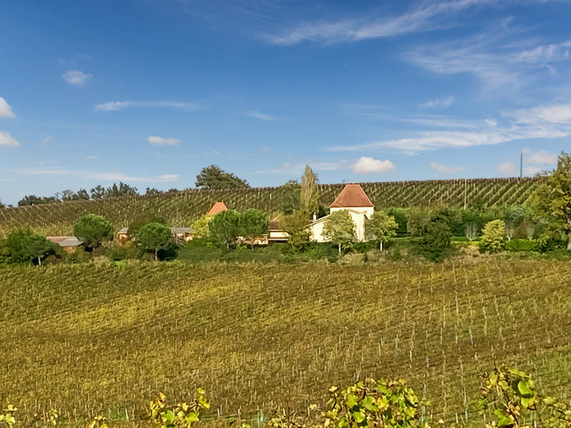 Maison - 327 m² - 6 pièces