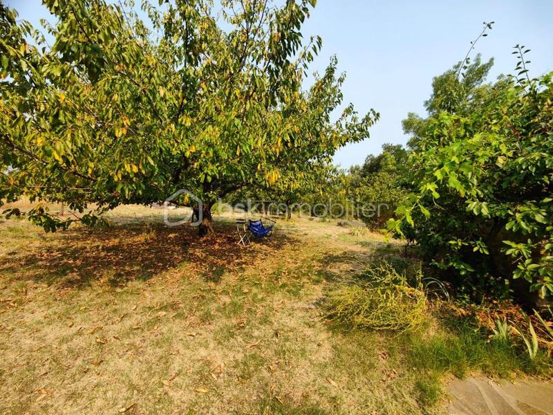 Maison en pierre - 100 m² - 5 pièces