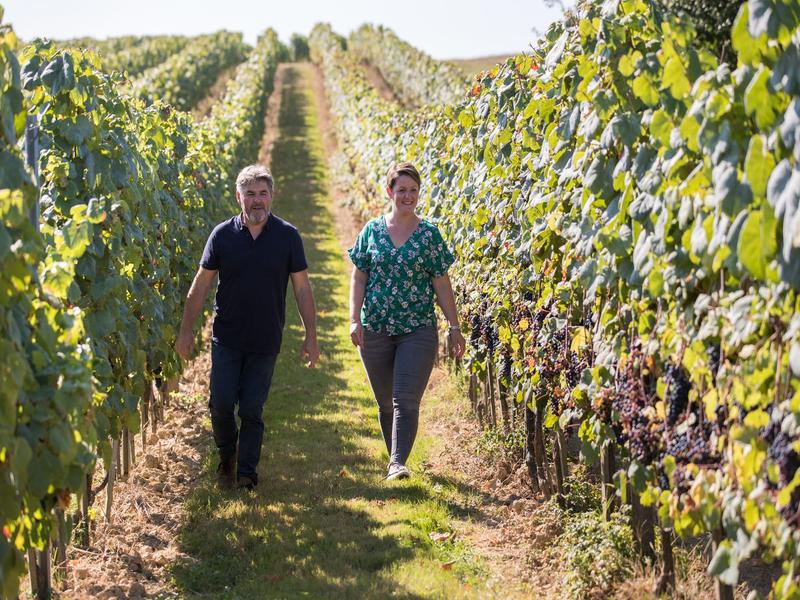 Les printemps d'Ostara, au Domaine Damiens