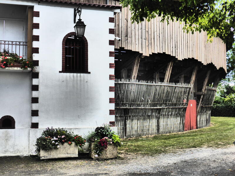 Visite commentée de la Monumental des Pins