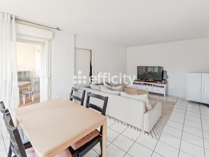 Appartement - 55 m² - 2 pièces