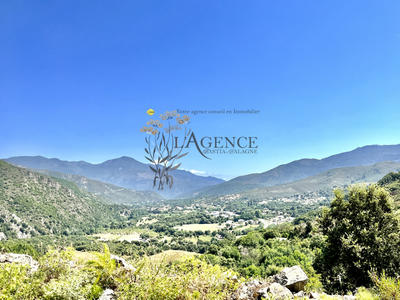 Appartement - 79 m² - 4 pièces