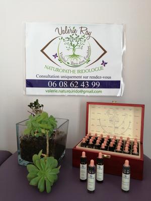 Valérie Roy Naturopathe