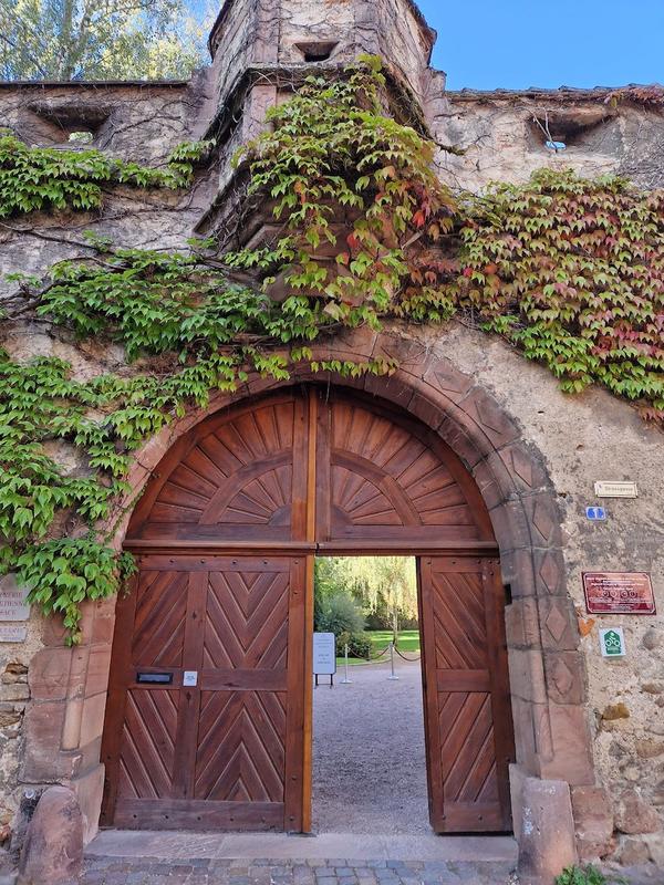 Atelier - Mets et Vins : Saveurs d'ailleurs