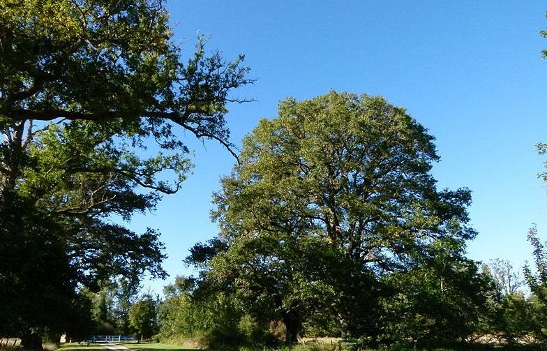 Manoir - 1 490 m² - 33 pièces